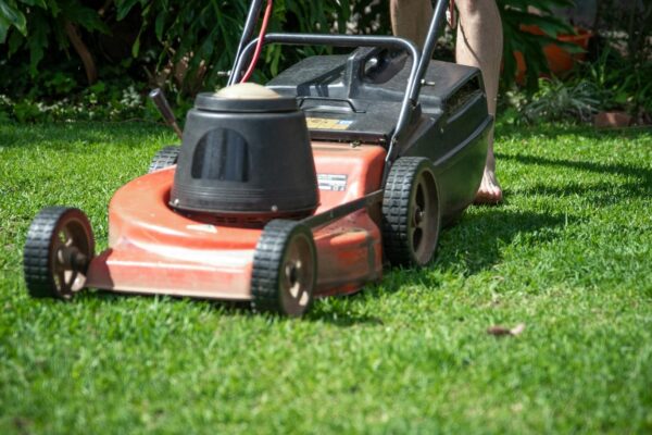 Walk-behind lawn mower sitting on a grass lawn — the kind that often will not start after winter storage