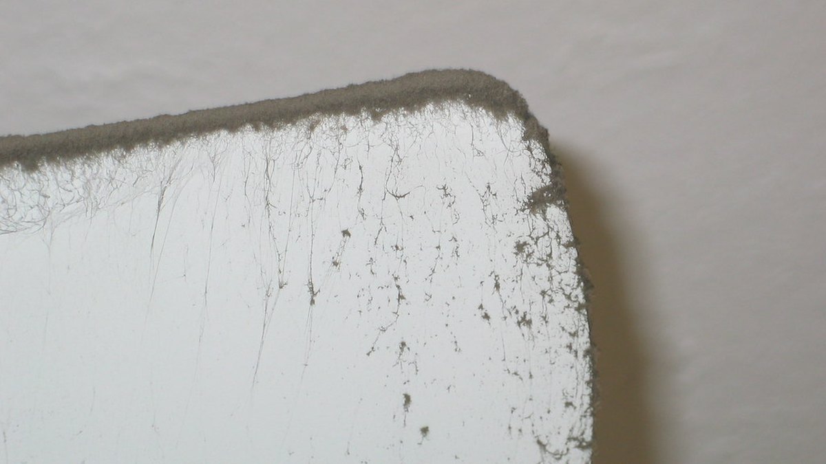 Heavy uneven dust buildup on a ceiling fan blade edge — a common cause of wobble